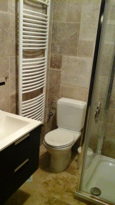 belle salle  de douche ,avec WC   , lavabo  (pièce privé)