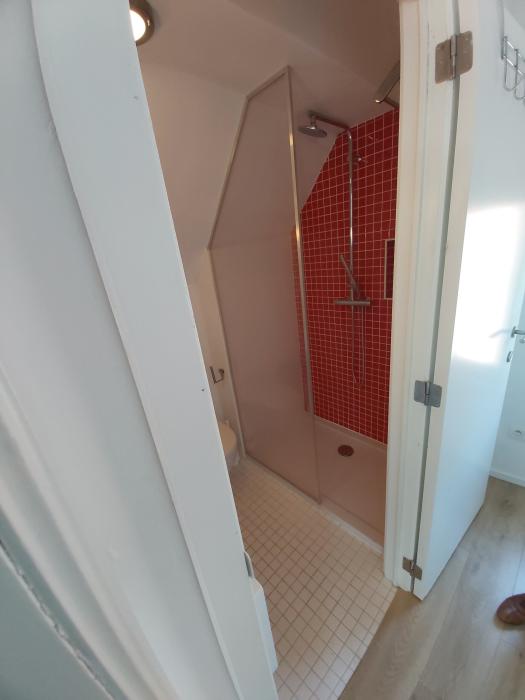 la salle de douche (avec WC et lavabo posé sur meuble).