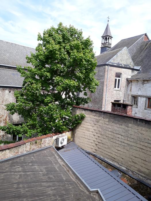 Vue sur jardin