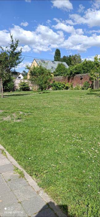 Jardin