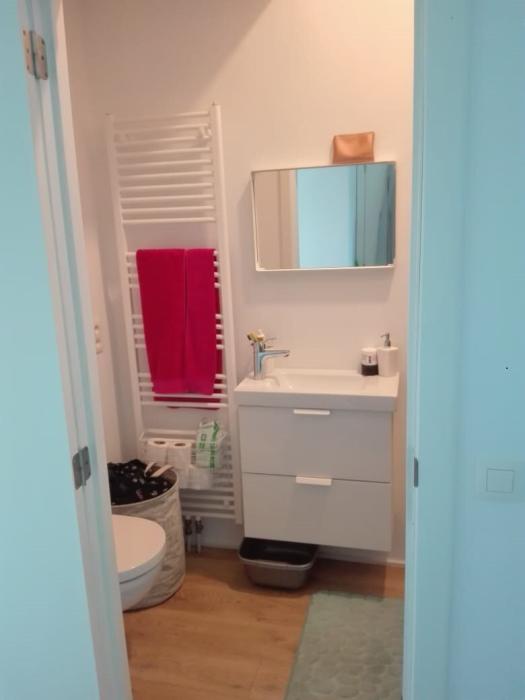 Salle de bains