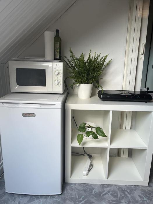 Room in owner's house