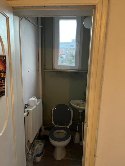 Kot libre wc privé