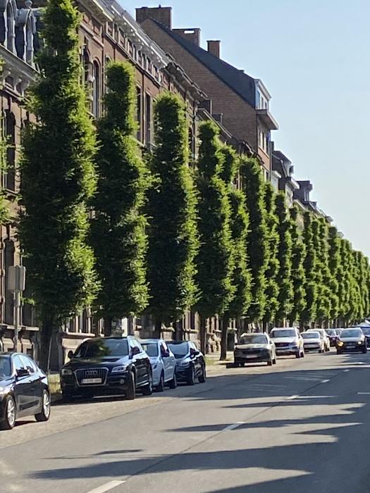 Room in owner's house