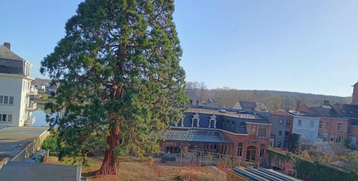 Kot chez l'habitant 18 m² à Namur Citadelle / La Plante