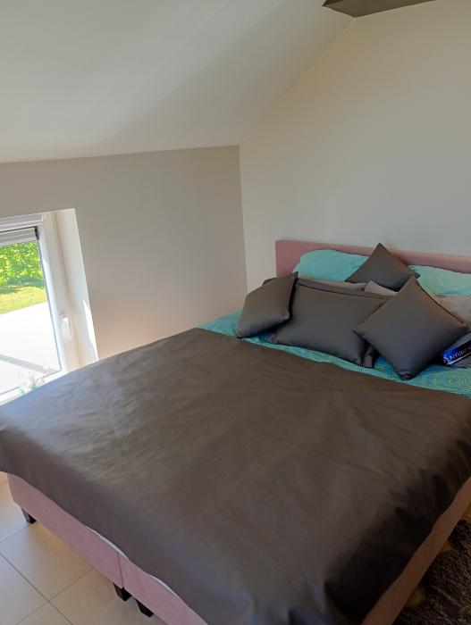 Kot chez l'habitant