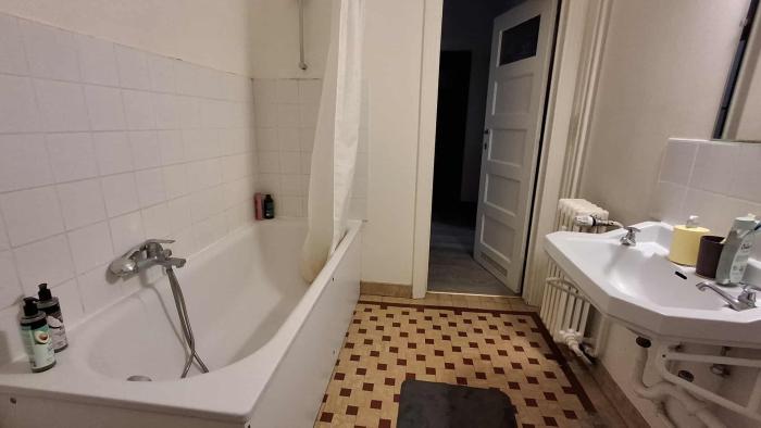 Salle de bain (baignoire + douche)