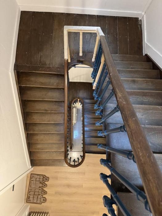 Kot