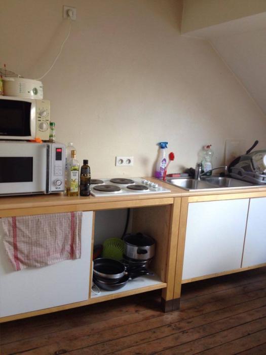Apercu de la cuisine équipée de 4 taques de cuisson, d'un petit four et d'un frigo + bac surgélateur.