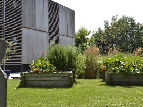Kot chez l'habitant 15 m² à Namur Bouge