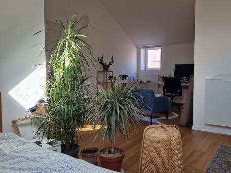 别墅 40 m² 在 Namur Centre - La Corbeille