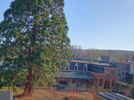 Kot chez l'habitant 18 m² à Namur Citadelle / La Plante